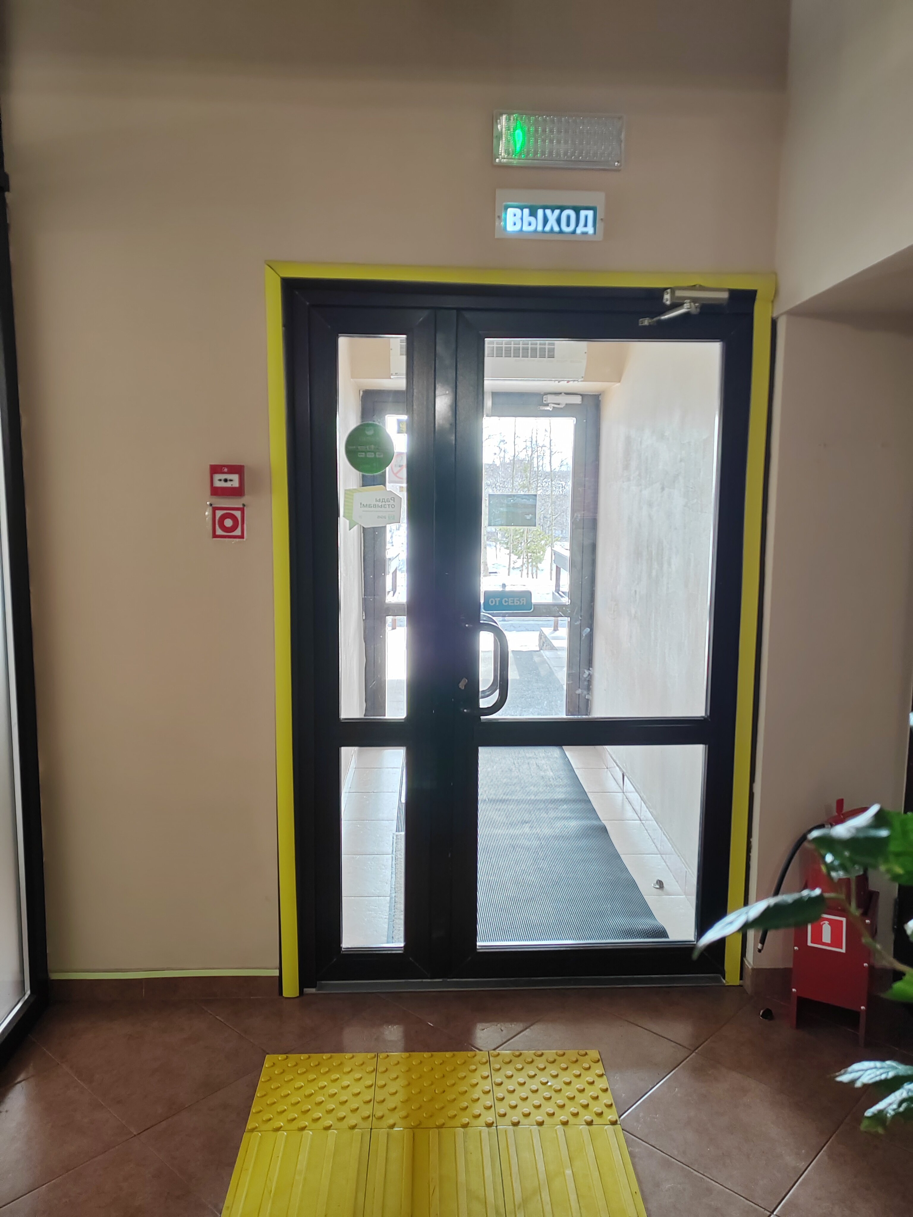 Фото Лесная