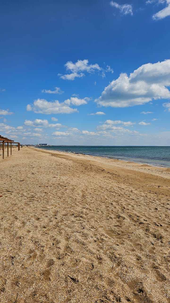 Фото Доминика