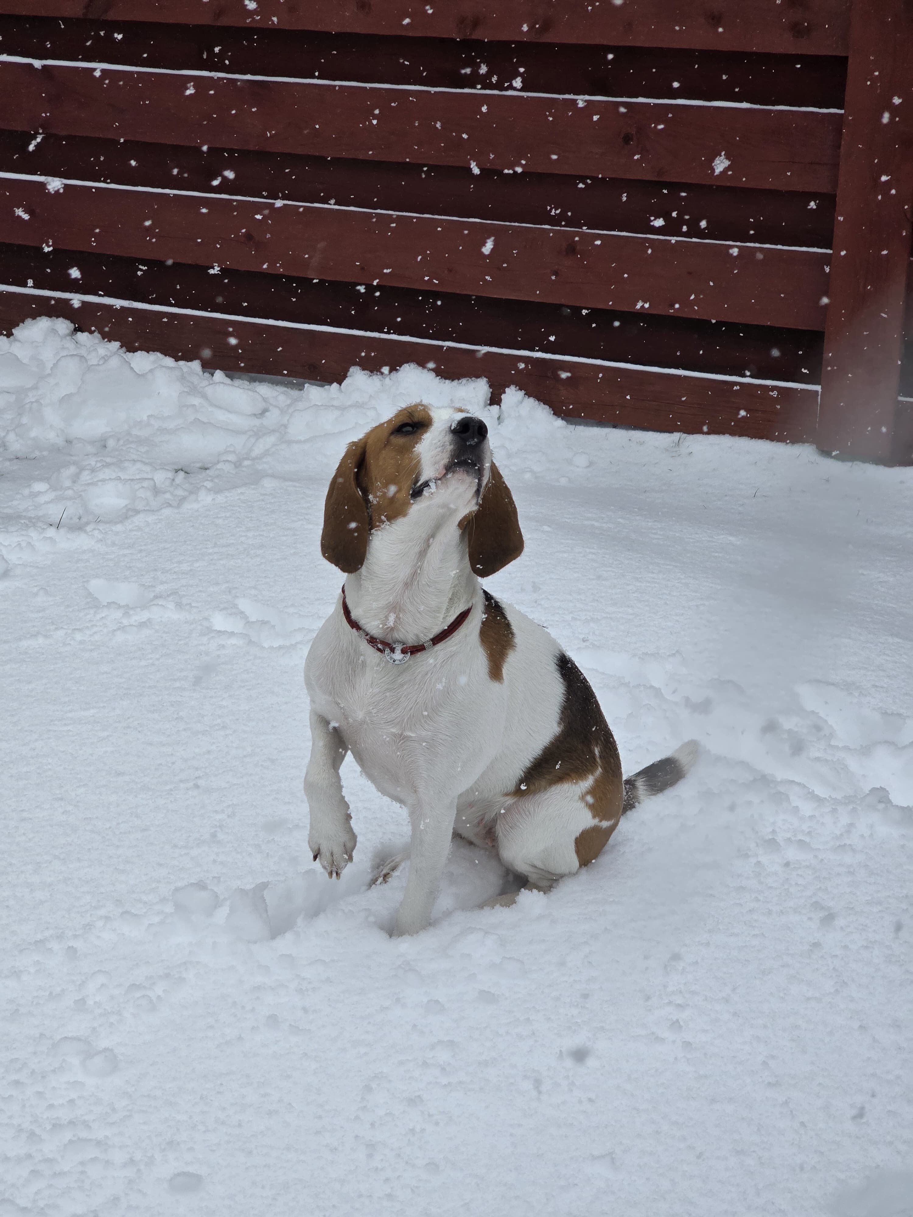 Фото CanadaHouse