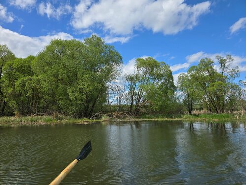 Дом отдыха Riverland в Курской области