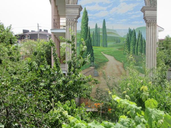 Фото Садочек