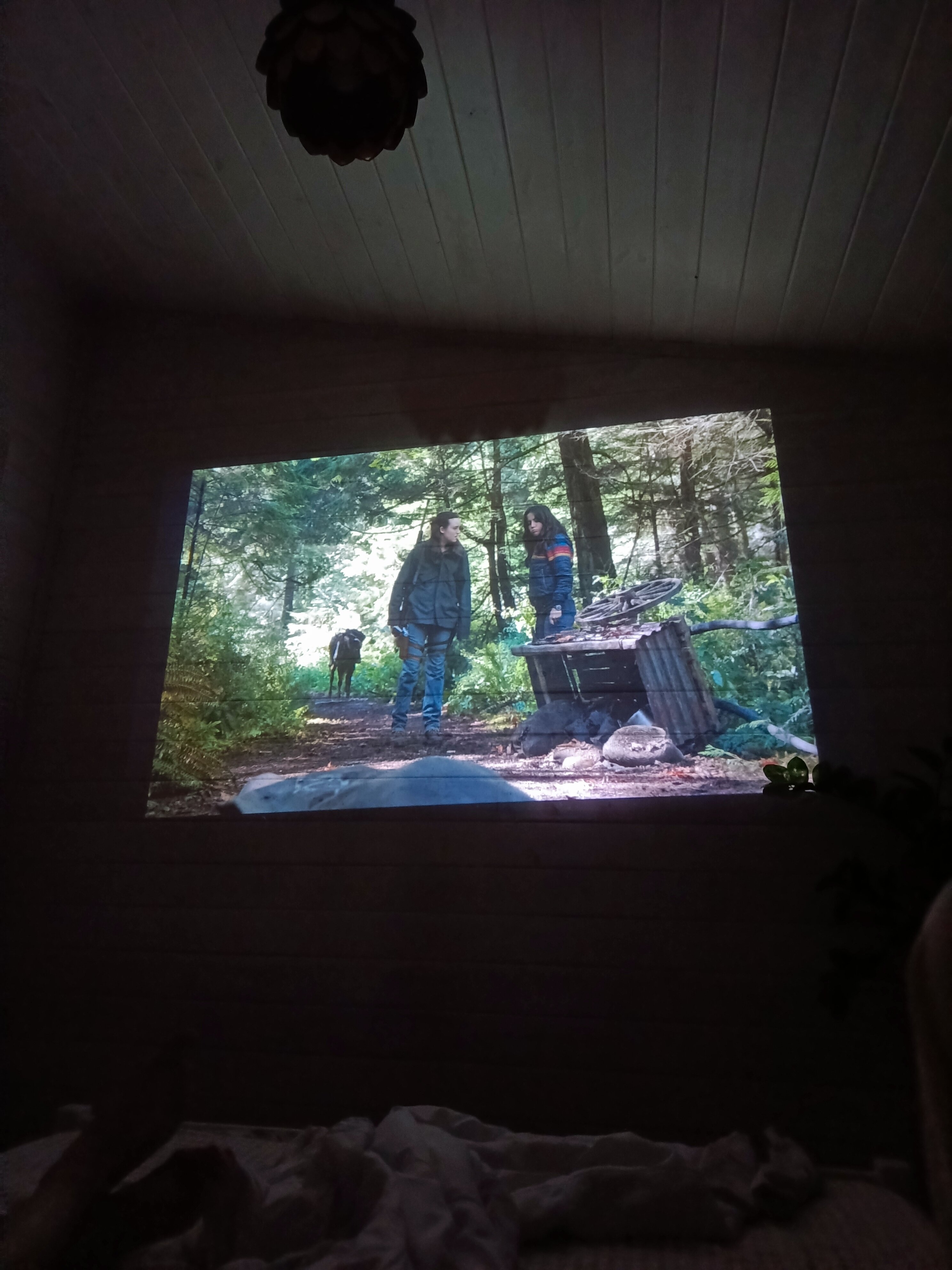 Фото Эхо леса