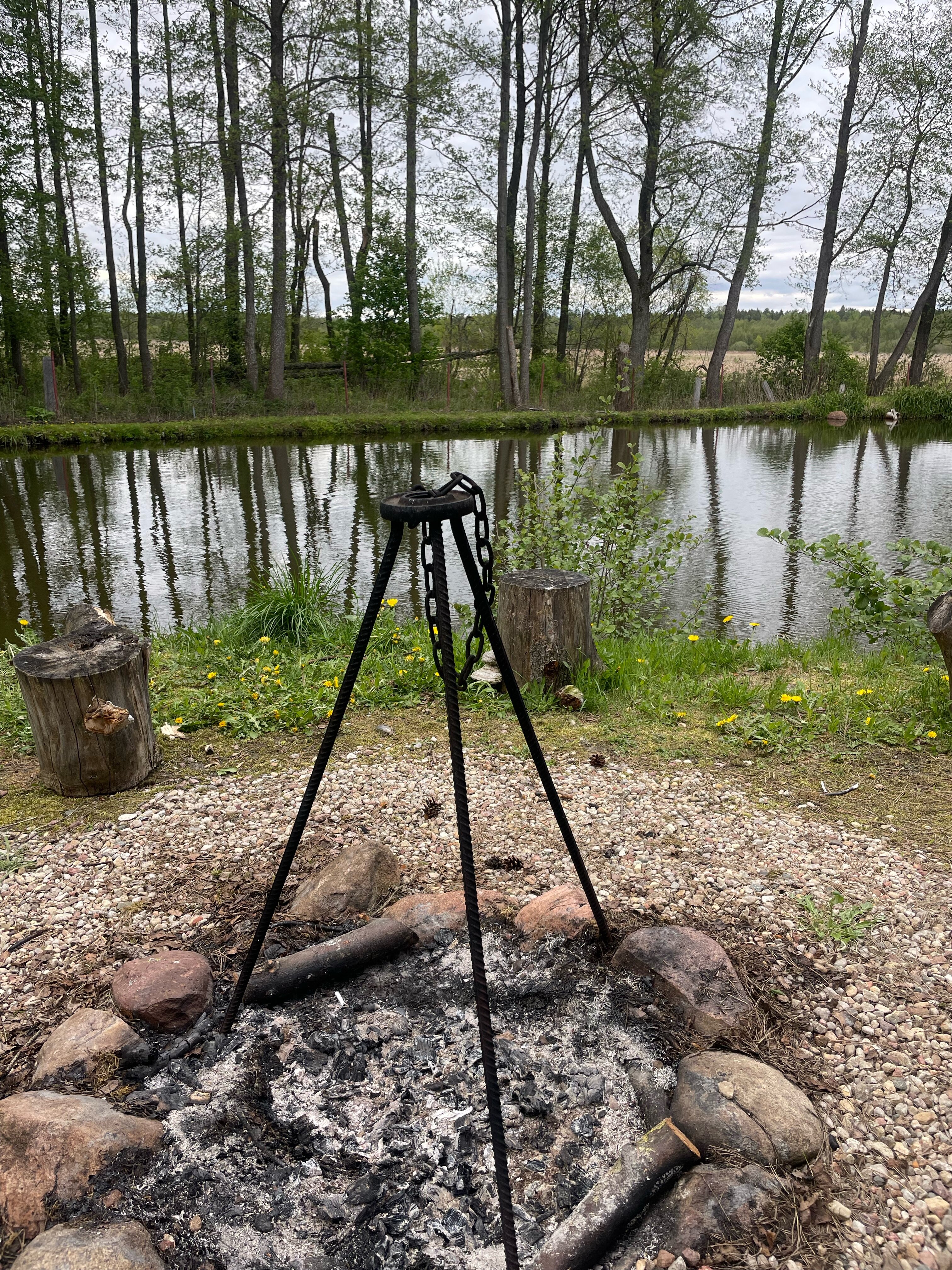 Фото Агроусадьба Мечта в Беловежской пуще