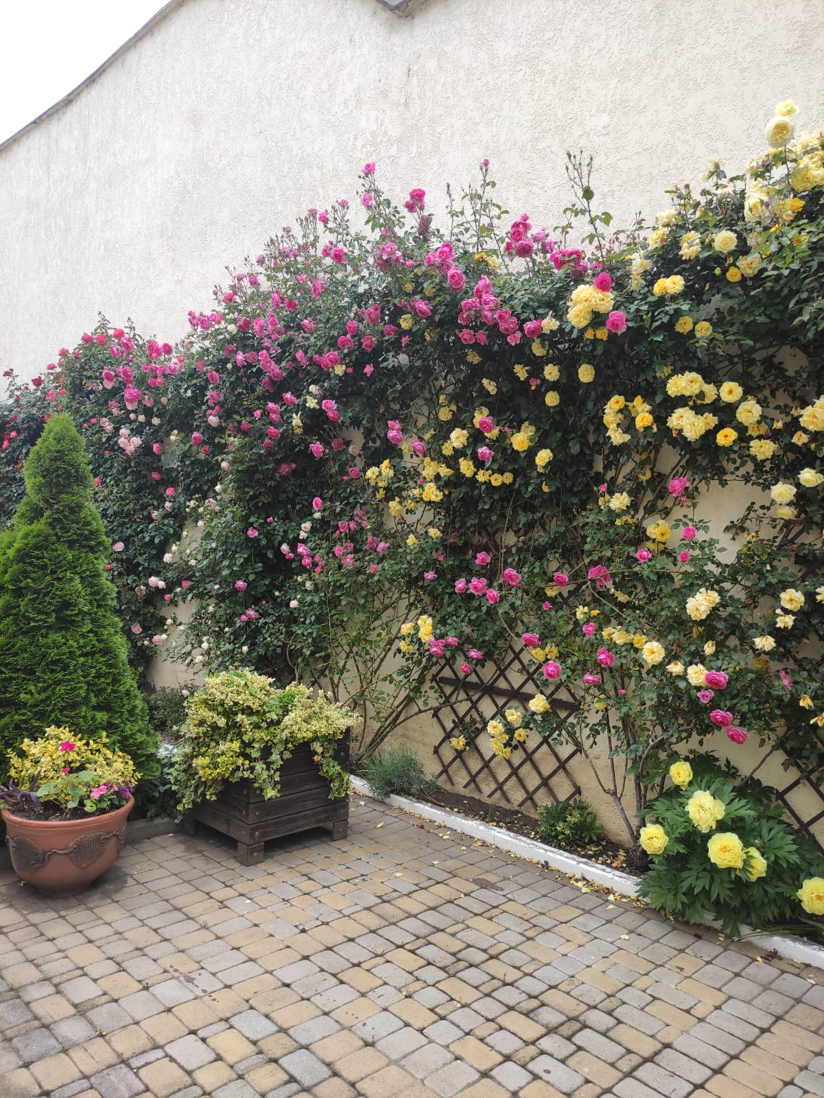 Фото Иностранец