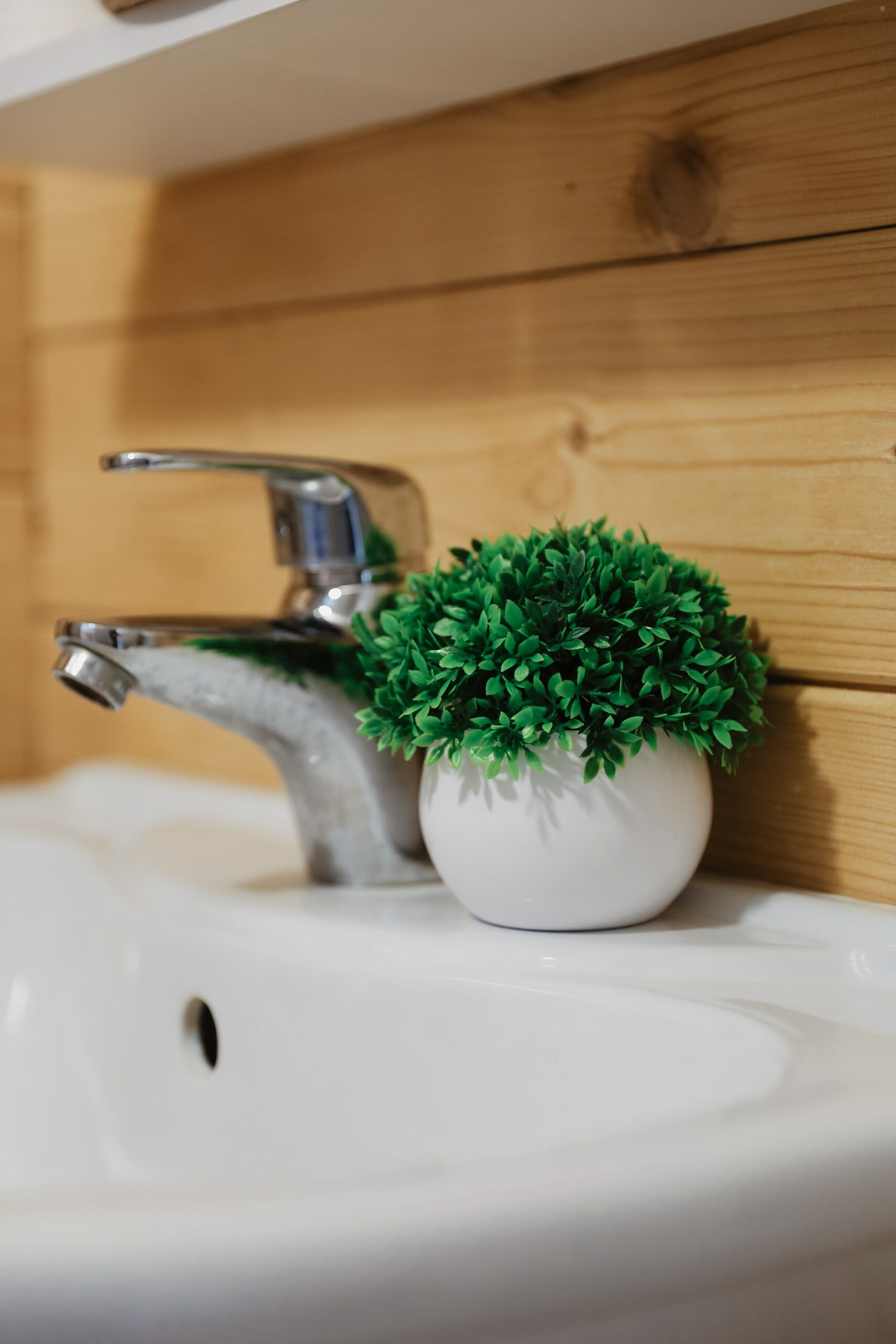 Фото Эко-комплекс SunSet