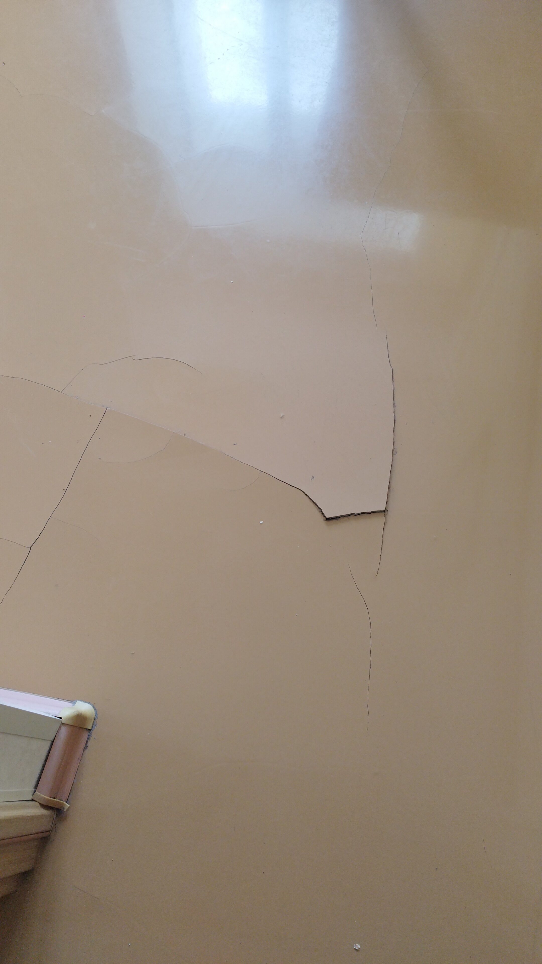 Фото Маршал