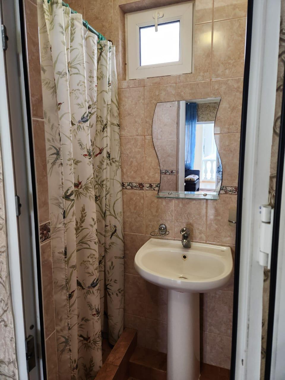 Фото Дружба