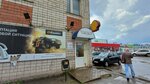Totachi (Mayakovskogo Street, 44Д), lubricants