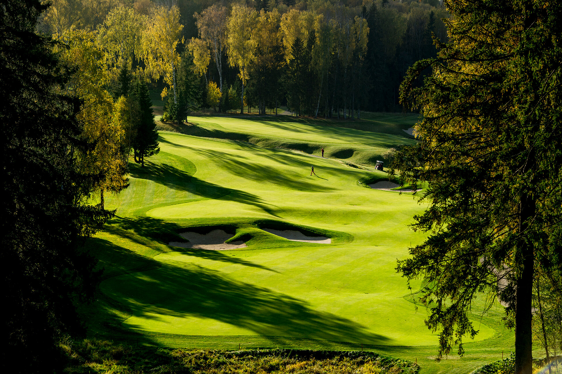 Фото Форест Хиллс