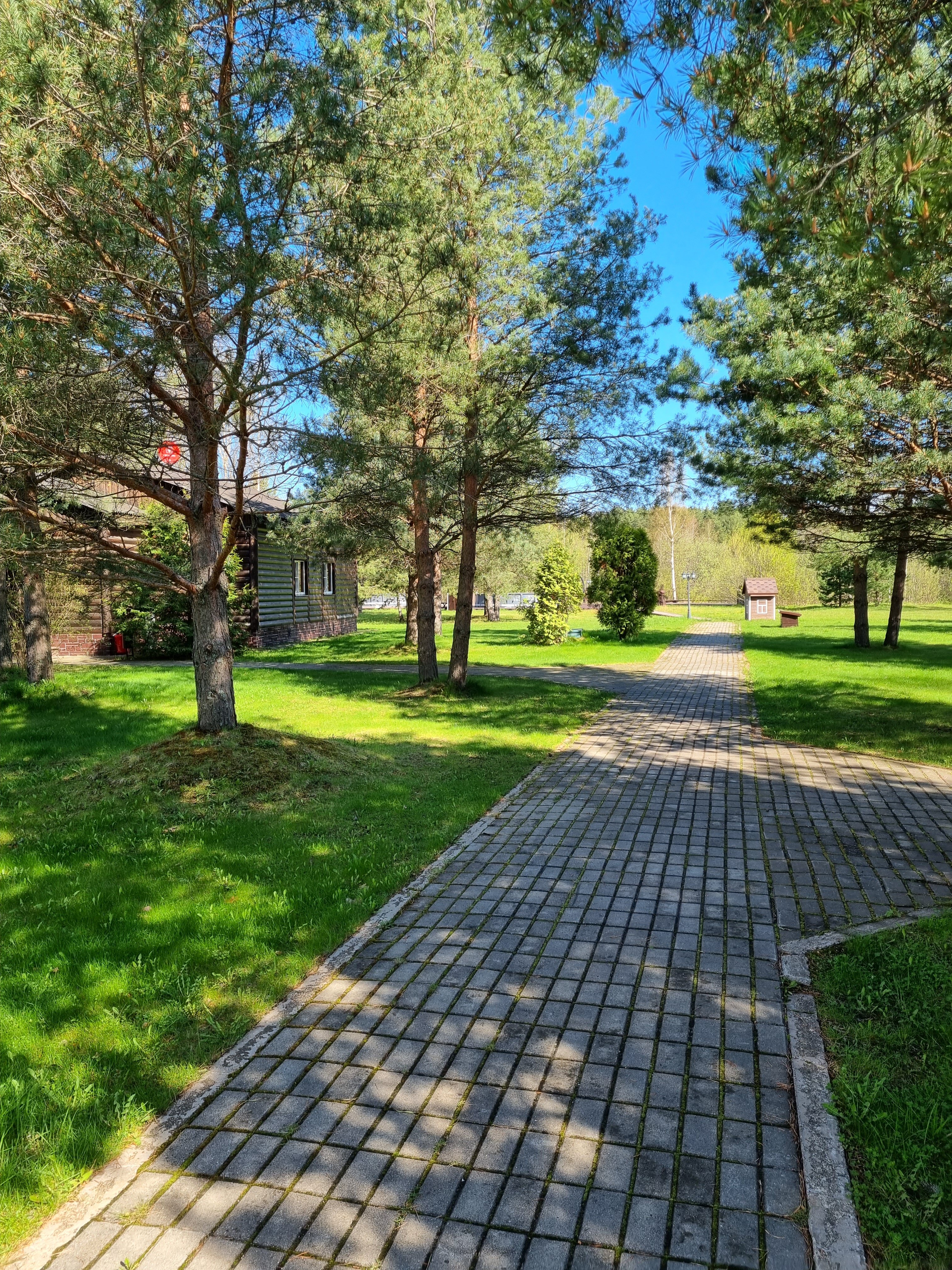 Фото На Чеснаве