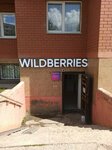 Wildberries (Kosmonavtov Street, 56), point of delivery