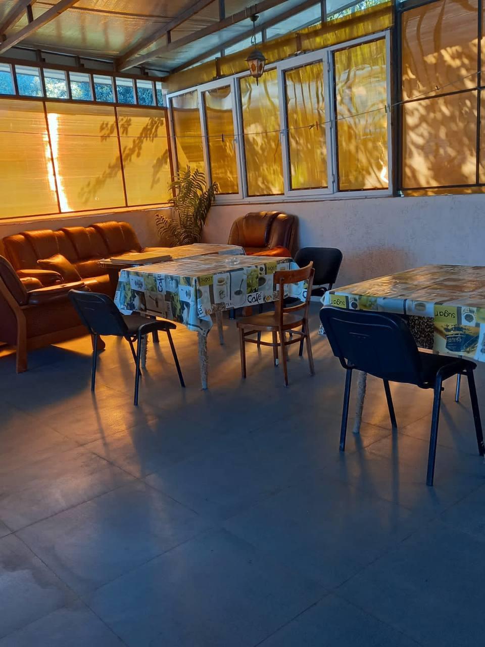 Фото ПовезЛоо