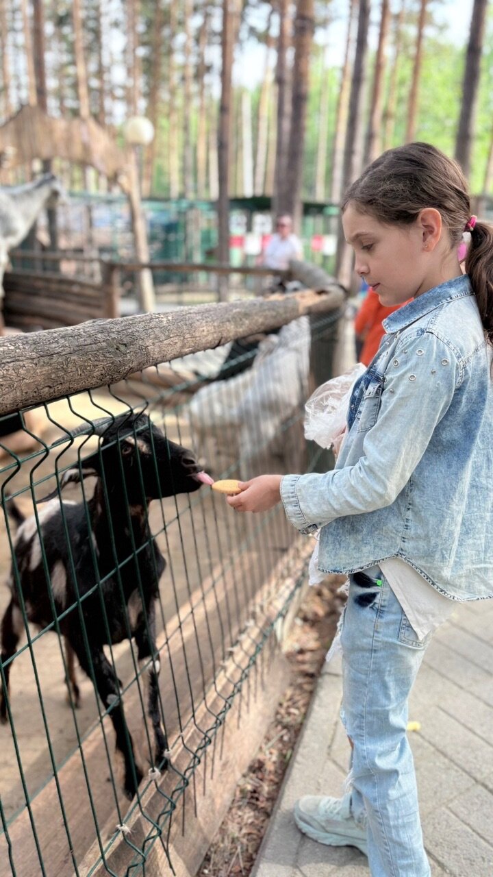 Фото Еловое