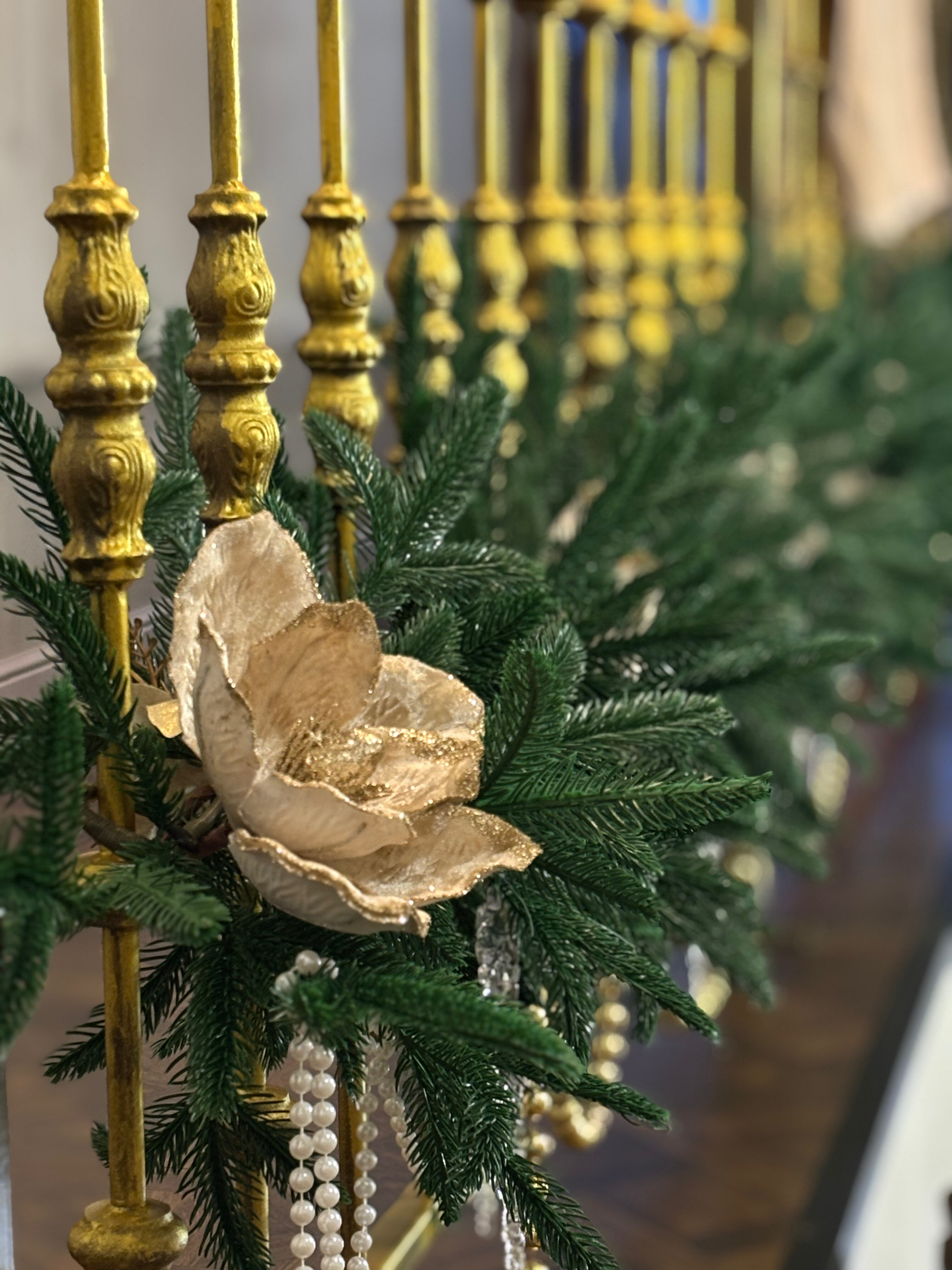 Фото Кристал