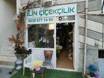 Ilin Floristry (Bursa, Osmangazi, Dikkaldirim Neighborhood, 2nd Hisar Street, 6), floristeria