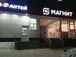 Magnit (ulitsa Lomonosova, 104), grocery