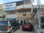 Lpg Elektronik (Ankara Province, Yenimahalle, Inonu Neighborhood, 1766th Street, 32), installation of lpg