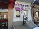 Wildberries (ulitsa Revolyutsii, 55) ، نقطة تسليم