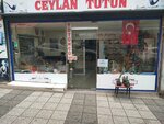 Ceylan Tobacco (İstanbul, Kadikoy, Rasimpaşa Mah., Elmalı Çeşme Sok., 19B) ، متجر مستلزمات التدخين