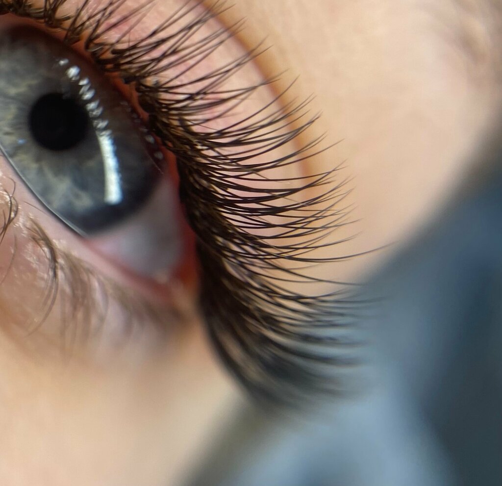 Eyebrow and eyelash salon Lash. Estetika, Vladimir, photo