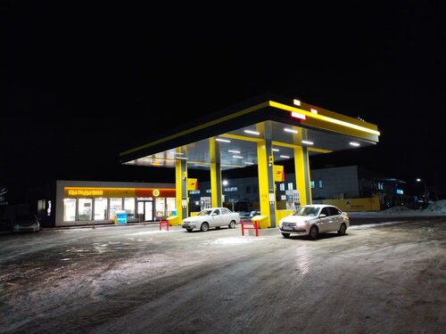 Gas station Rosneft', Samara, photo