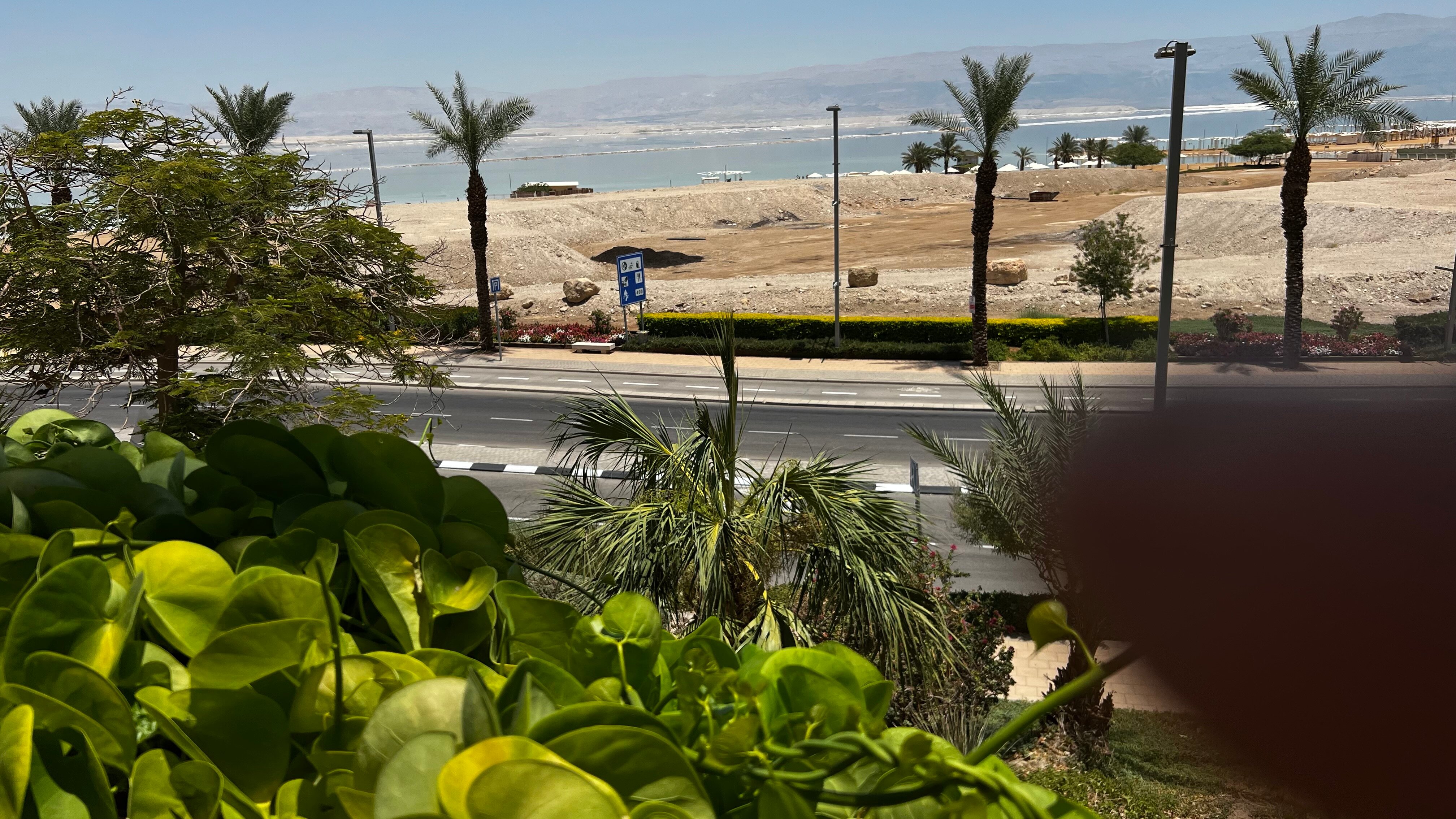 Фото David Dead Sea Resort & SPA 