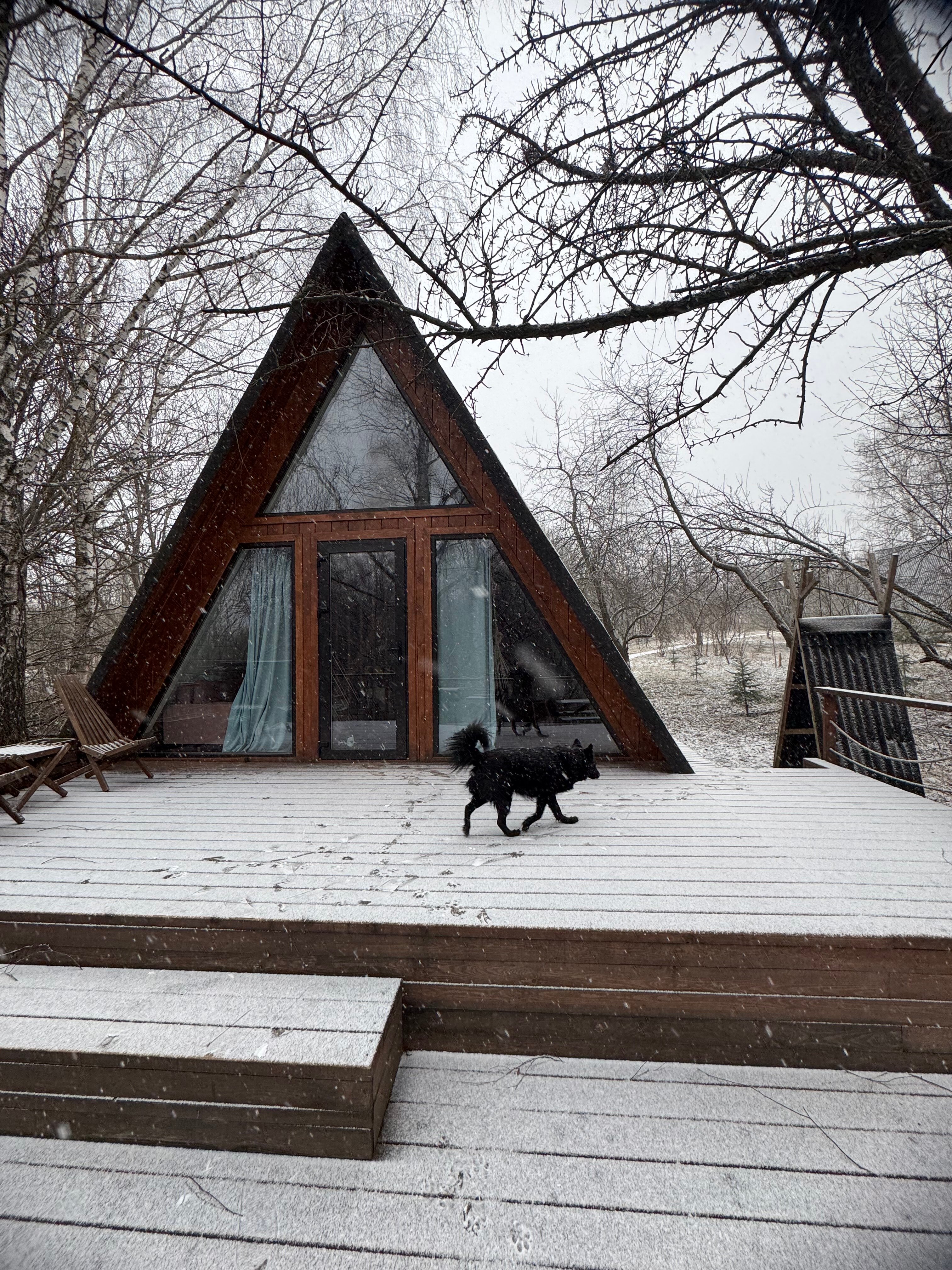 Фото О'Лень