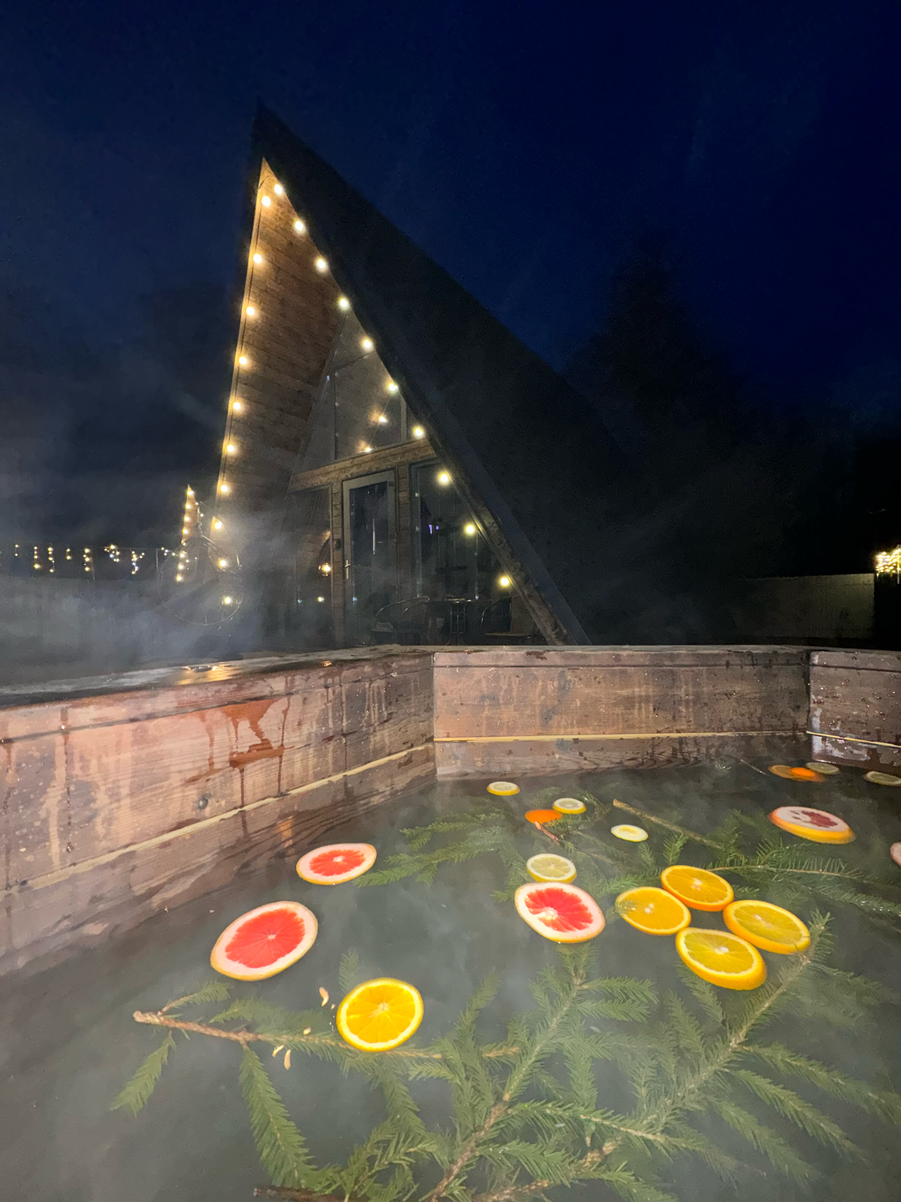 Фото Forest life