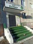 Clever (Geologicheskaya Street, 13/1) ، مركز تنمية الأطفال