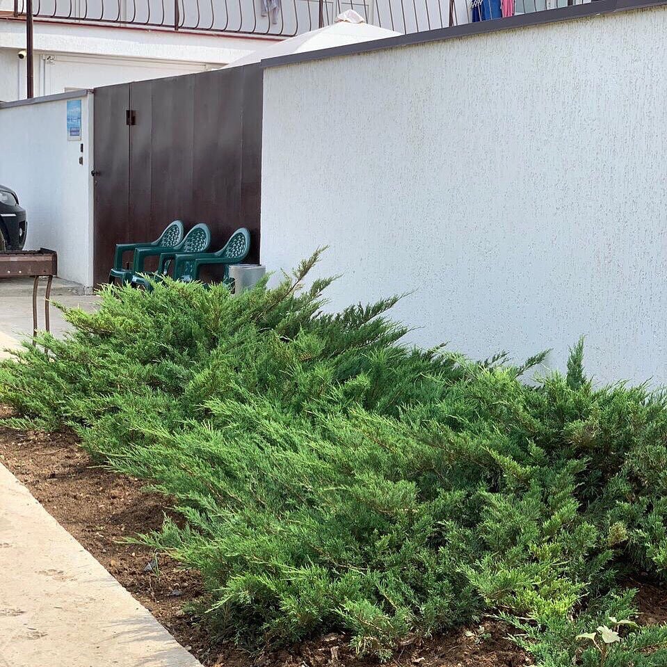 Фото Морской Бриз