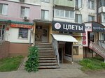 Lisa Buket (ulitsa Nikolayeva, 40), floristeria