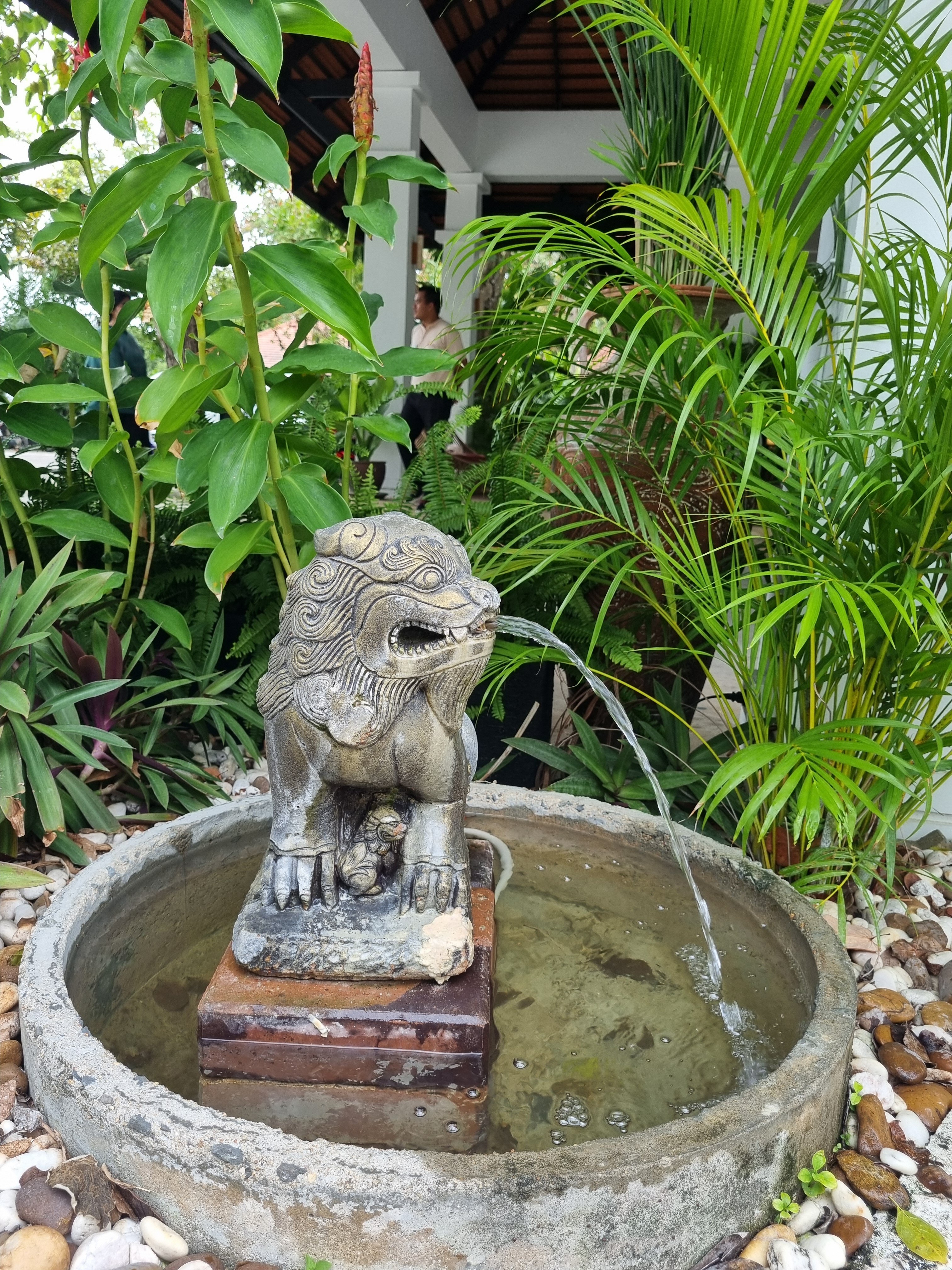 Фото D Varee Mai Khao Beach