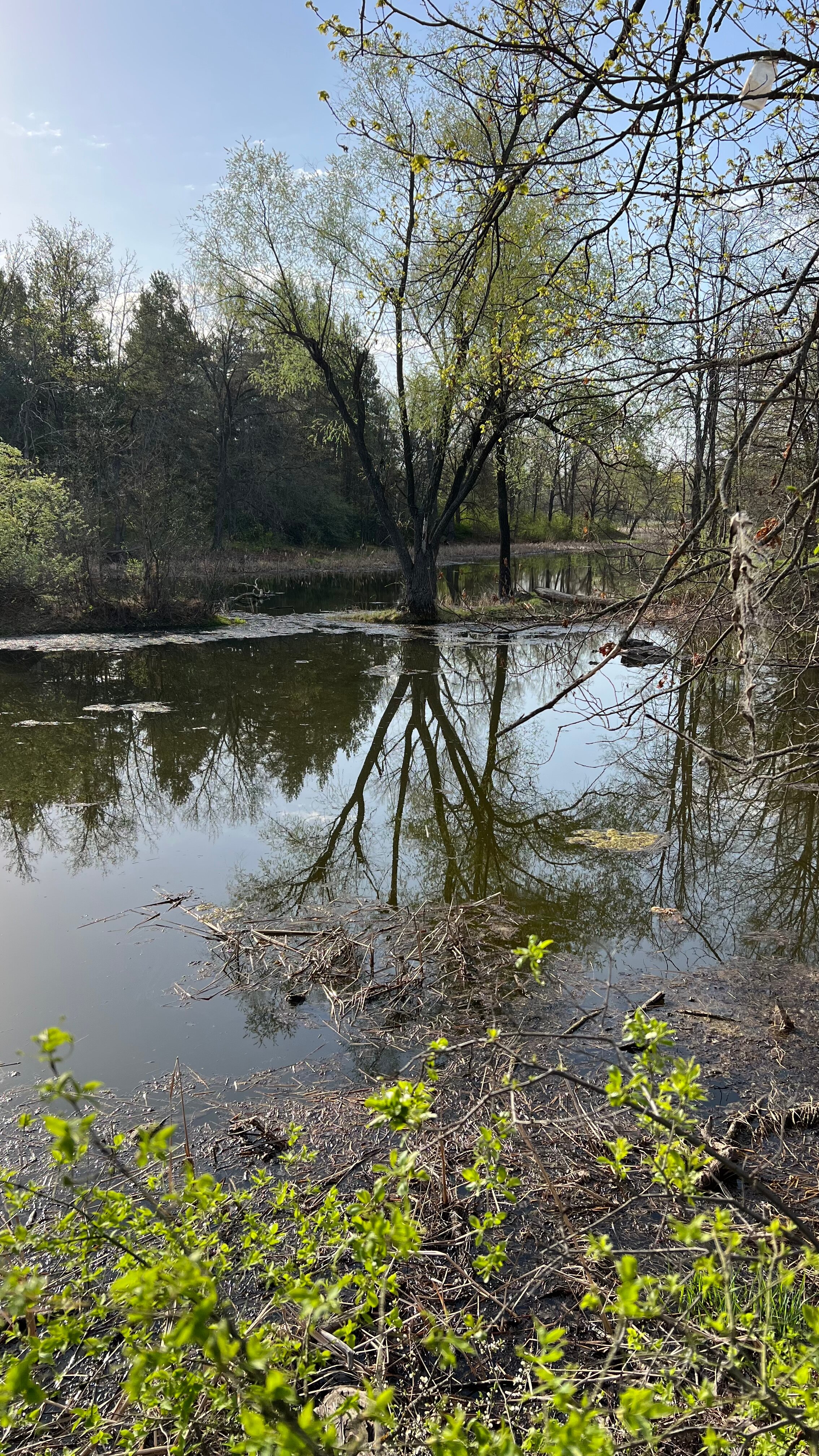 Фото Д-град