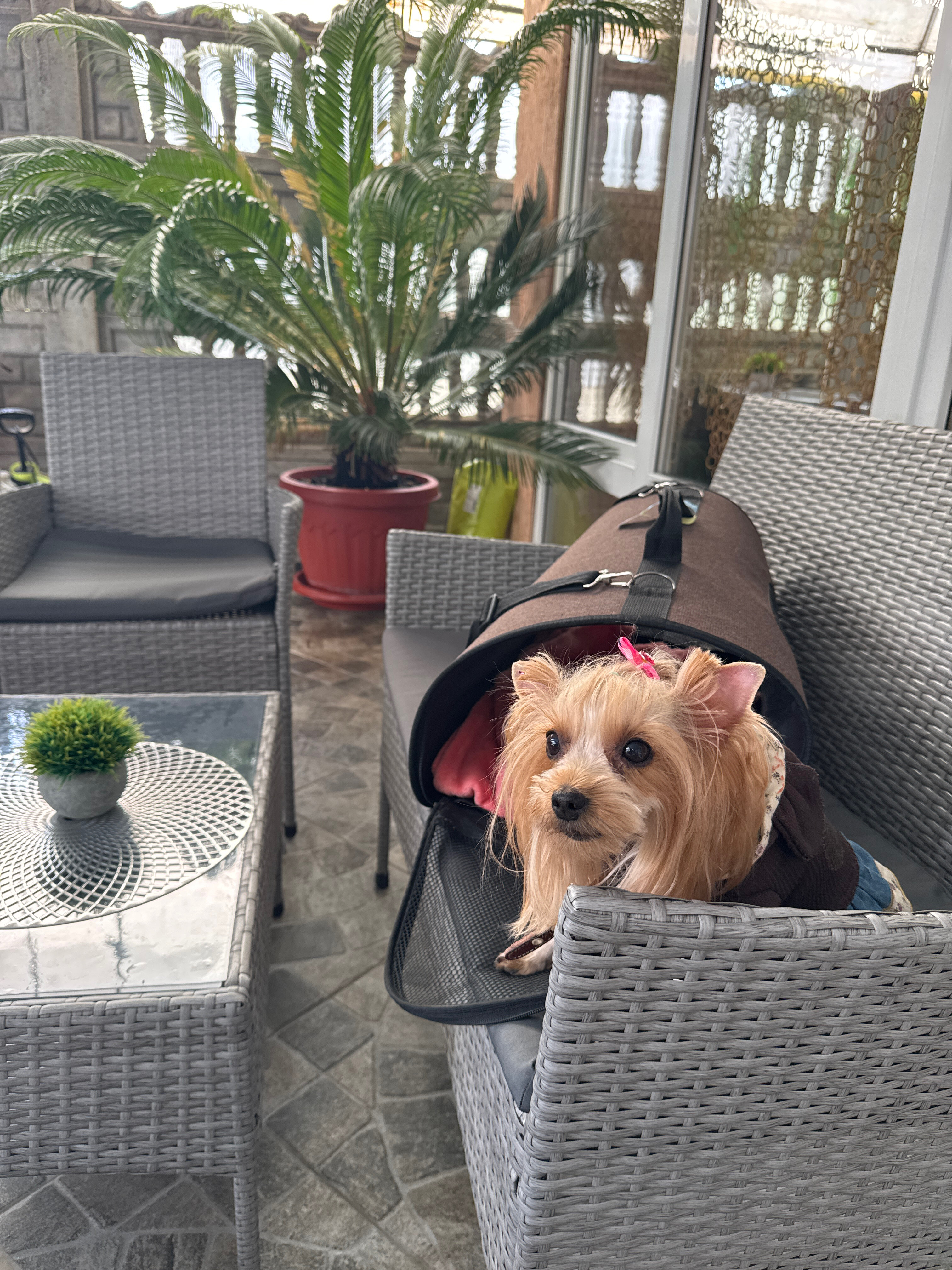 Фото Прибрежный Апартаменты