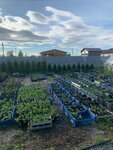 ZaharAgro (kottedzhny posyolok Zelyonaya Opushka-2, Zarechnaya ulitsa, 93), garden center