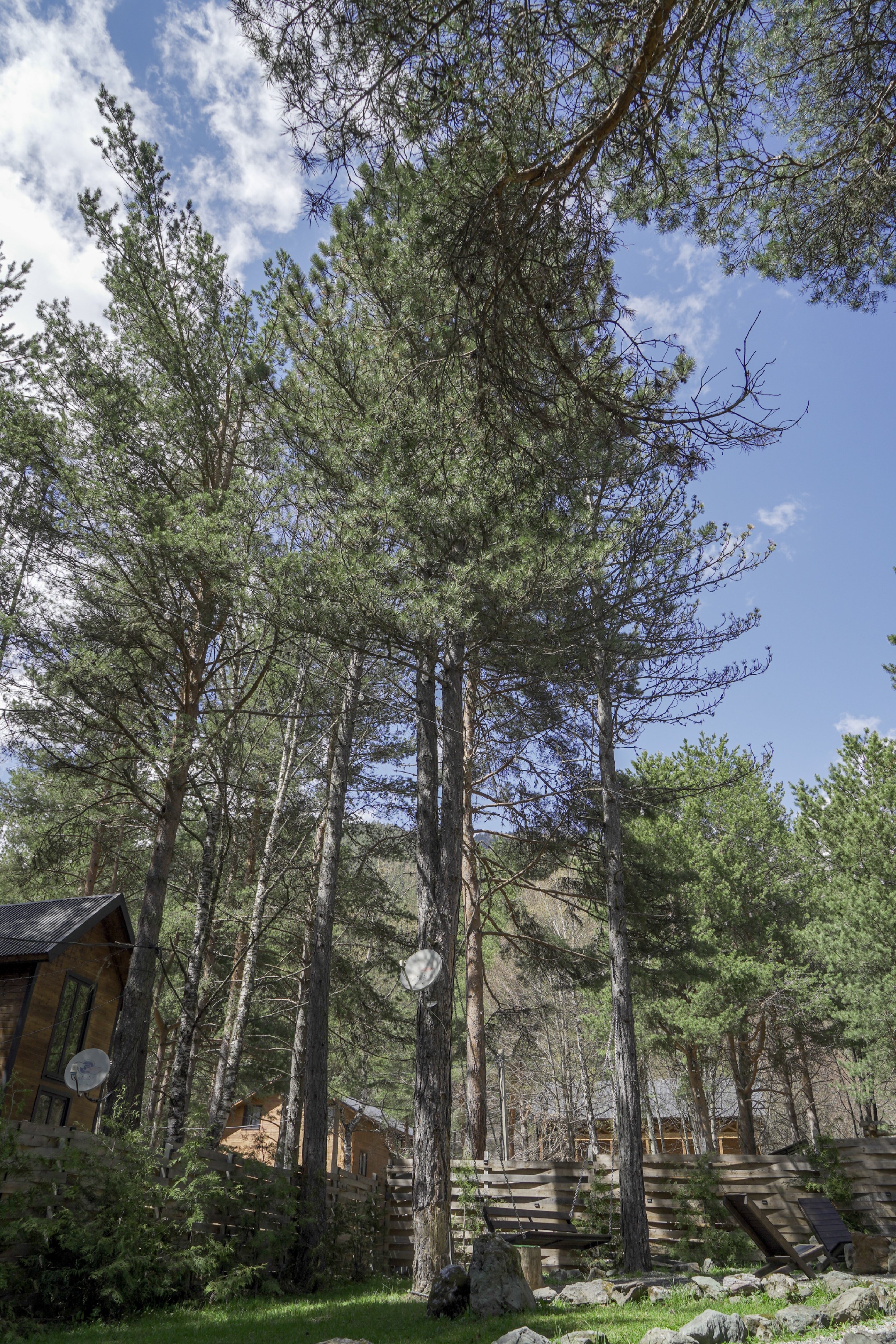 Фото Mountain House