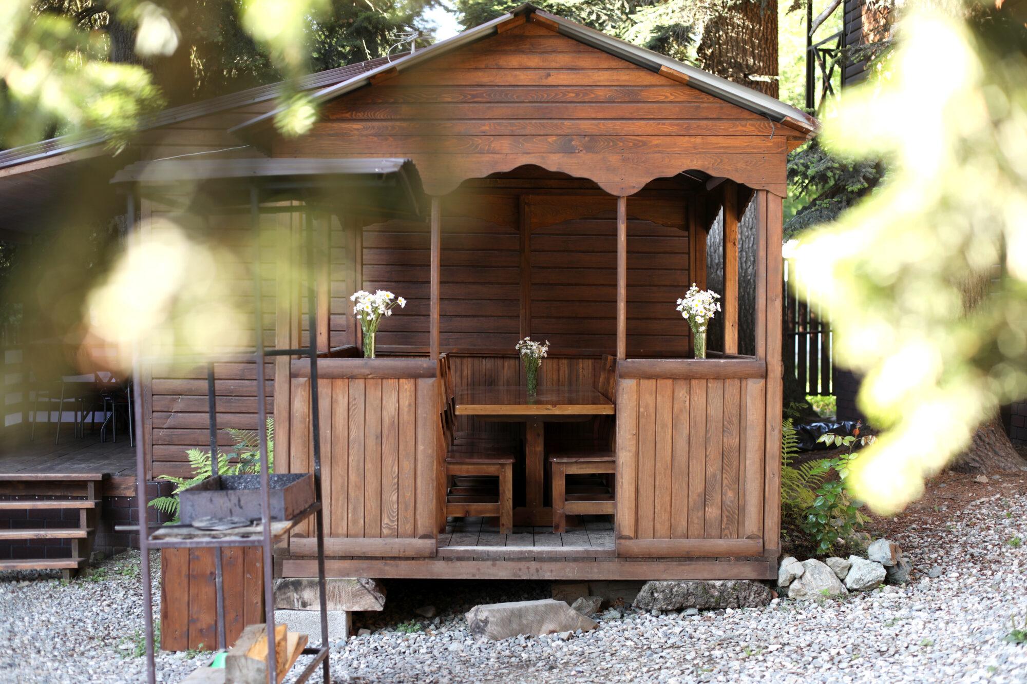 Фото Горная Лаванда