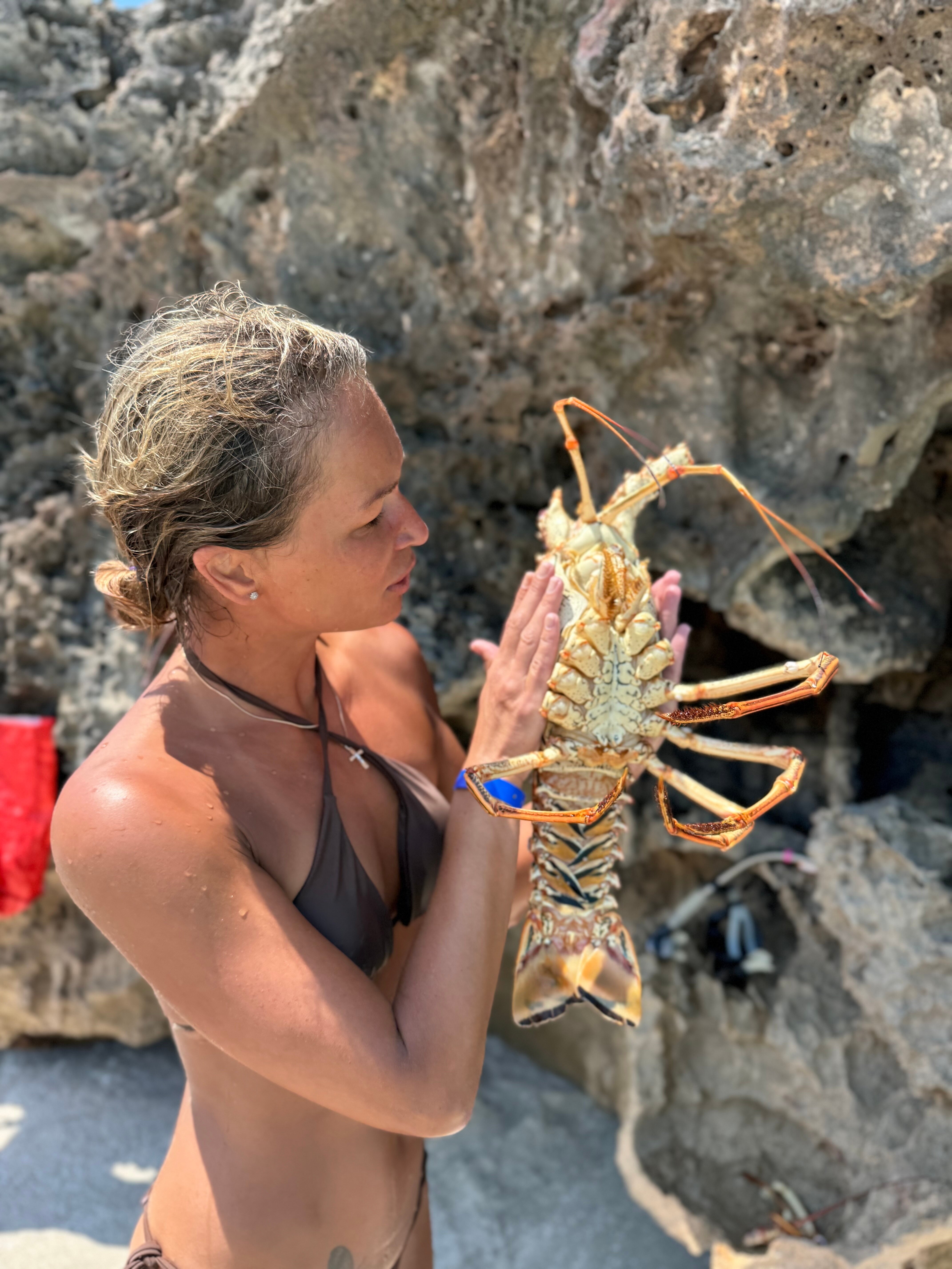 Фото Hotel Playa Vista Azul