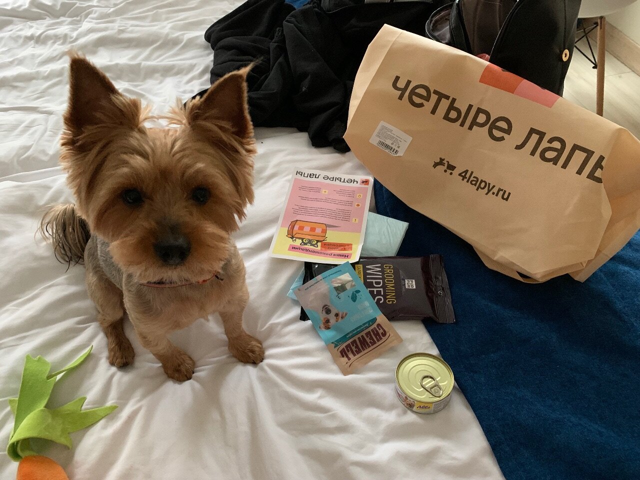 Фото Best Western Zoom Hotel