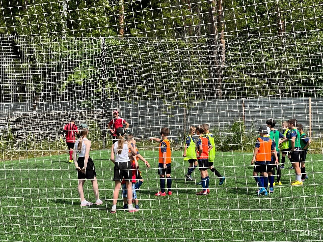 Фото Ягодная деревушка