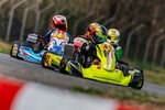 Karting Sport (Brigadny pereulok, 1) ، سباق السيارات