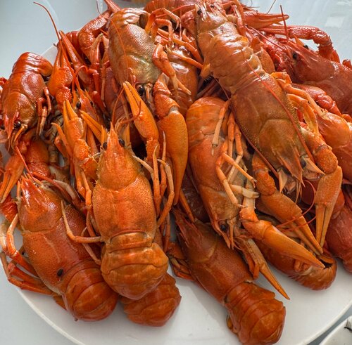 Дом отдыха Шале Д'Матуа в Сухуме