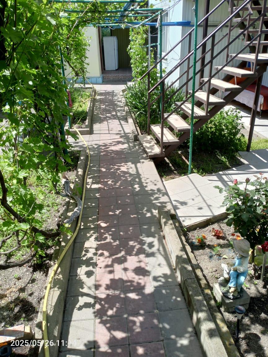 Фото Виноградная аллея