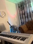 Звуки (ulitsa Aleksandra Nevskogo, 4) ، مدارس الموسيقى
