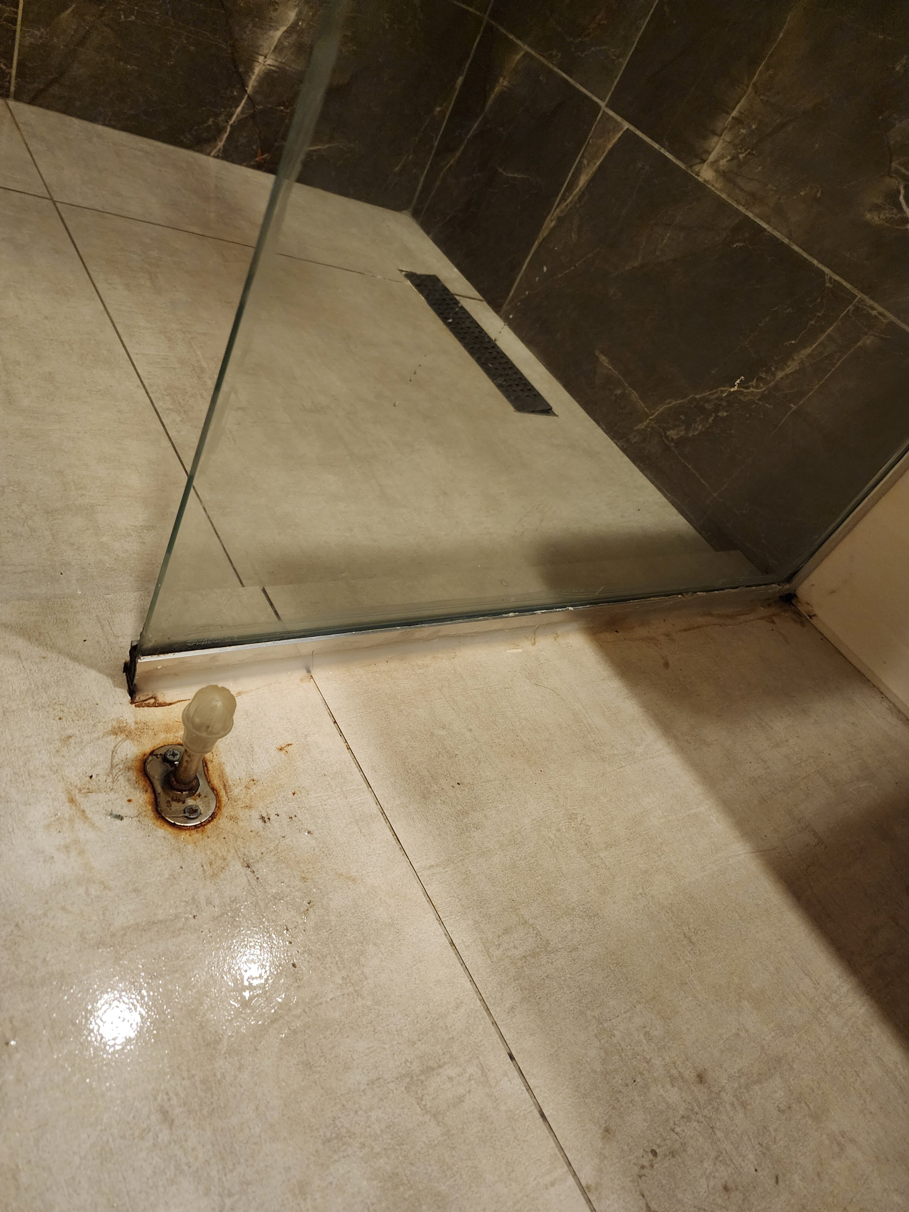 Фото Ikont Hotel