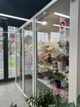 Магазин цветов (Ordzhonikidze Street, 1) ، محل زهور