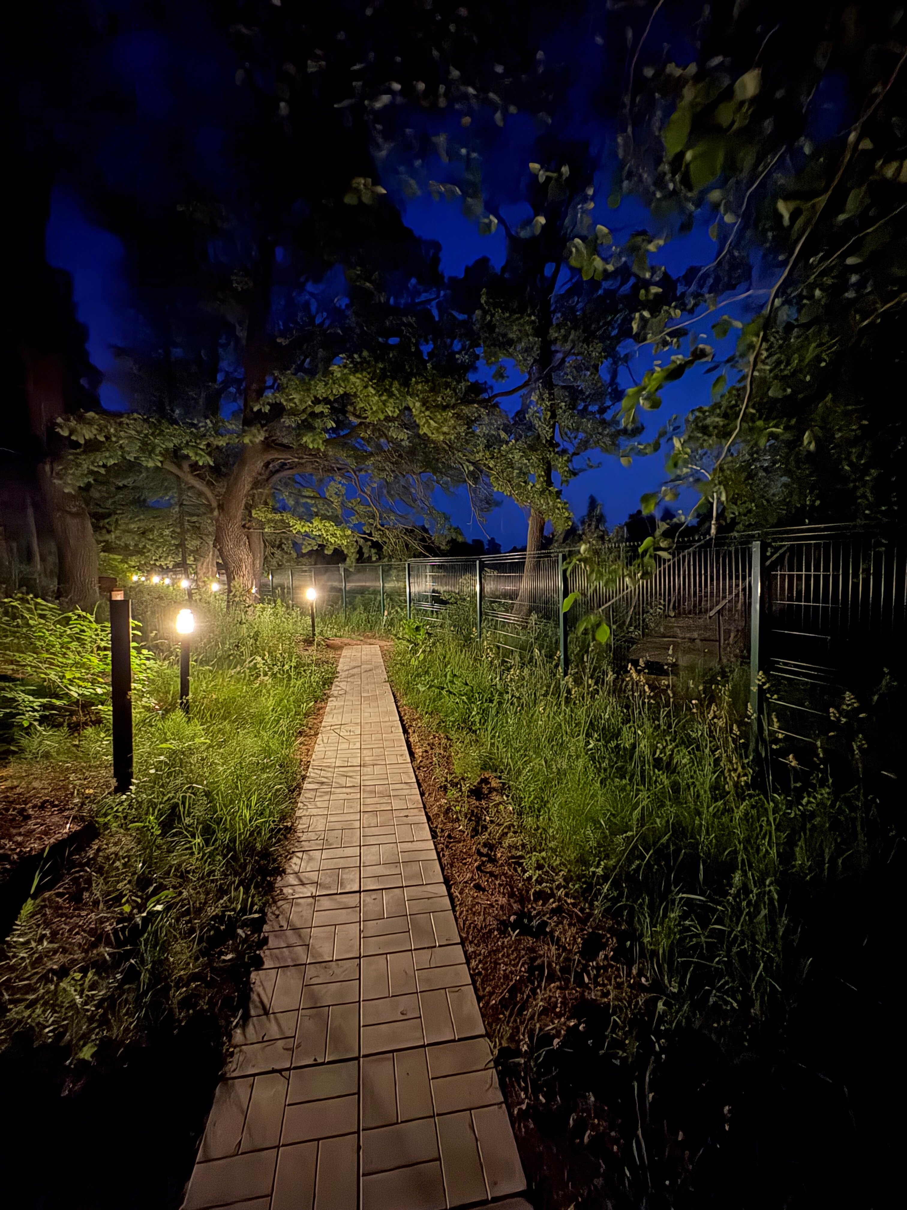 Фото Росинка