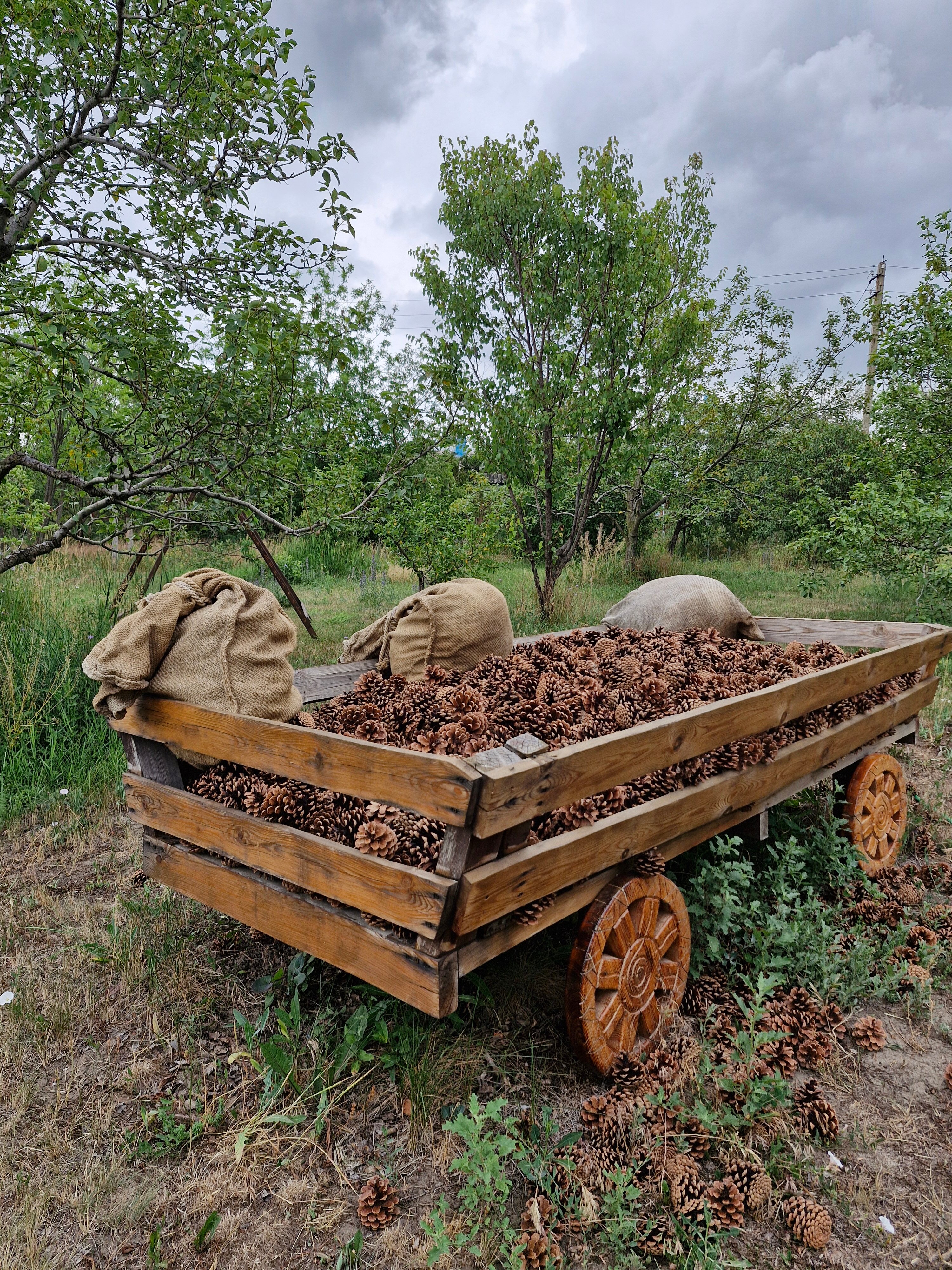 Фото СтепнаяЗдравница