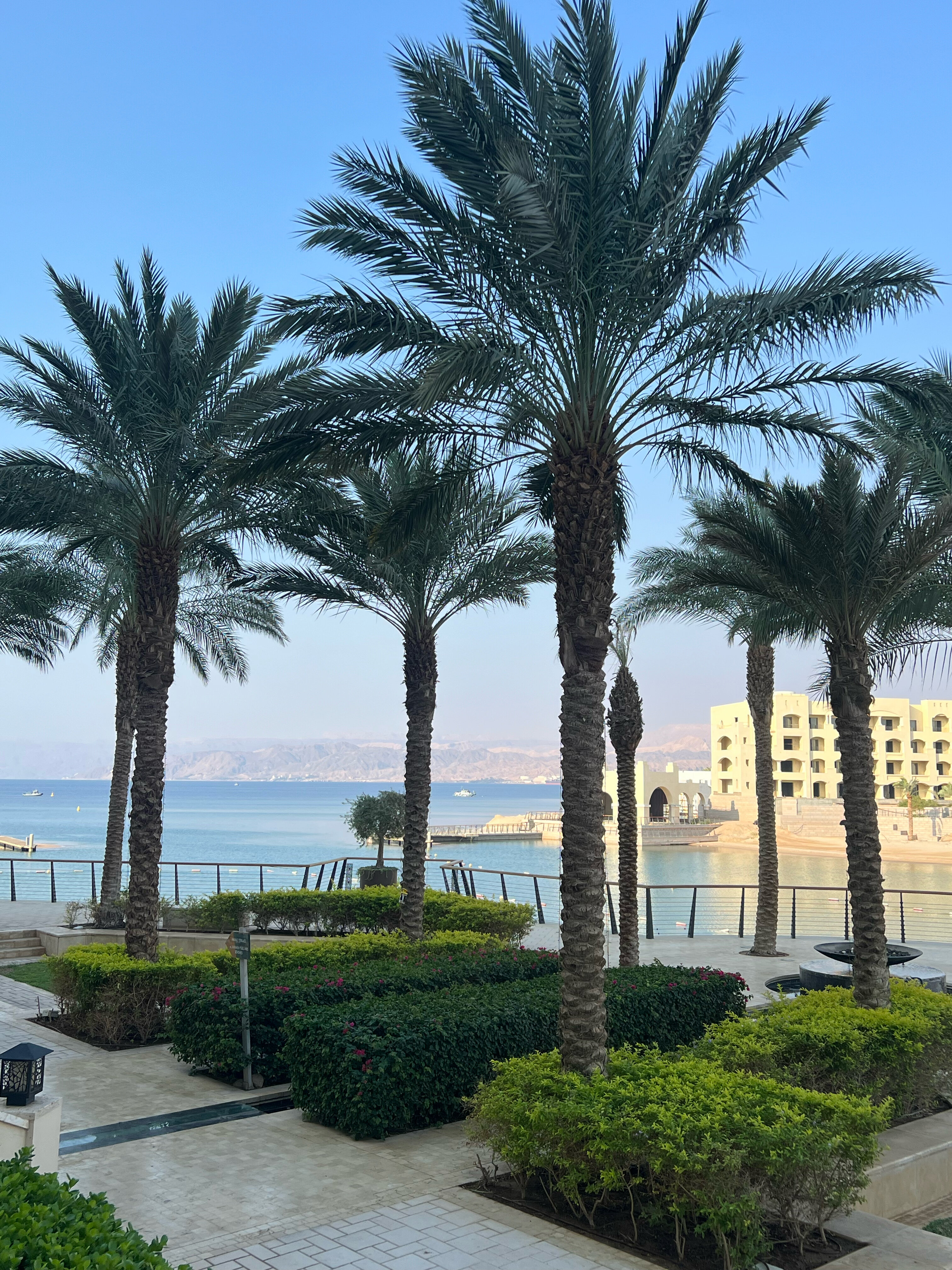 Фото Al Manara, a Luxury Collection Hotel, Saraya Aqaba