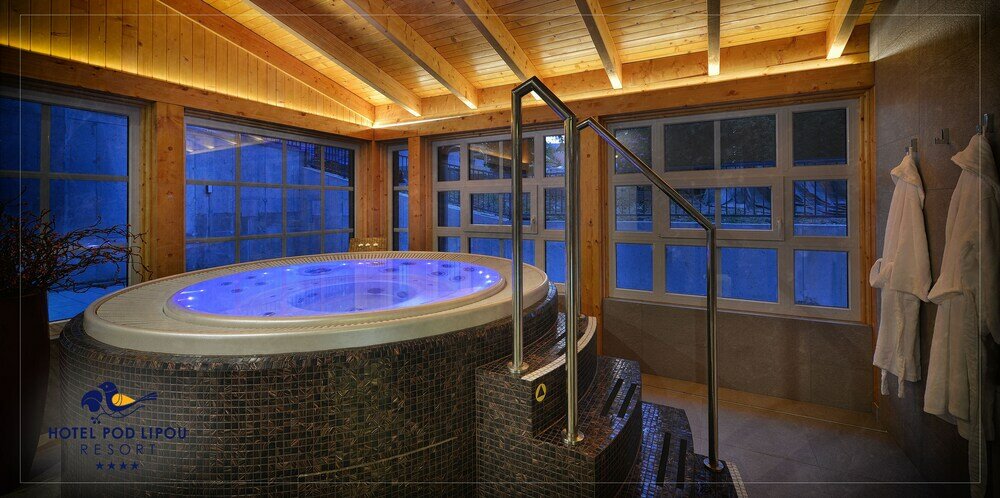 Фото Hotel Pod Lipou